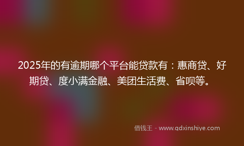 2025年的有逾期哪个平台能贷款有：惠商贷、好期贷、度小满金融、美团生活费、省呗等。