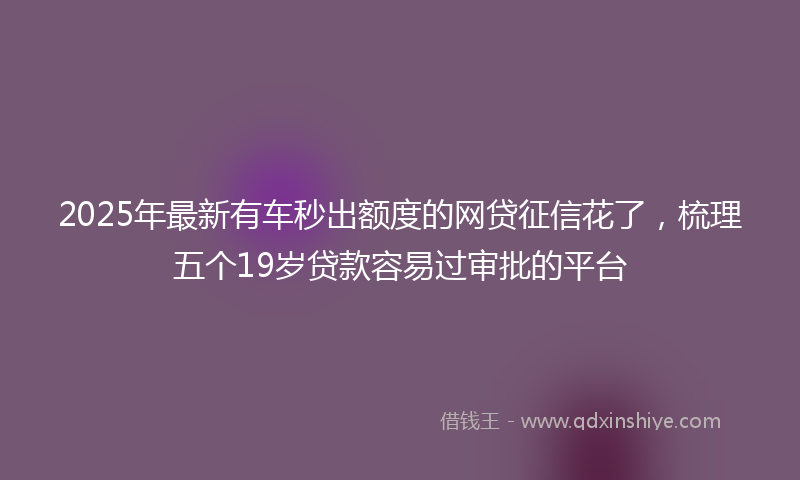 2025年最新有车秒出额度的网贷征信花了，梳理五个19岁贷款容易过审批的平台