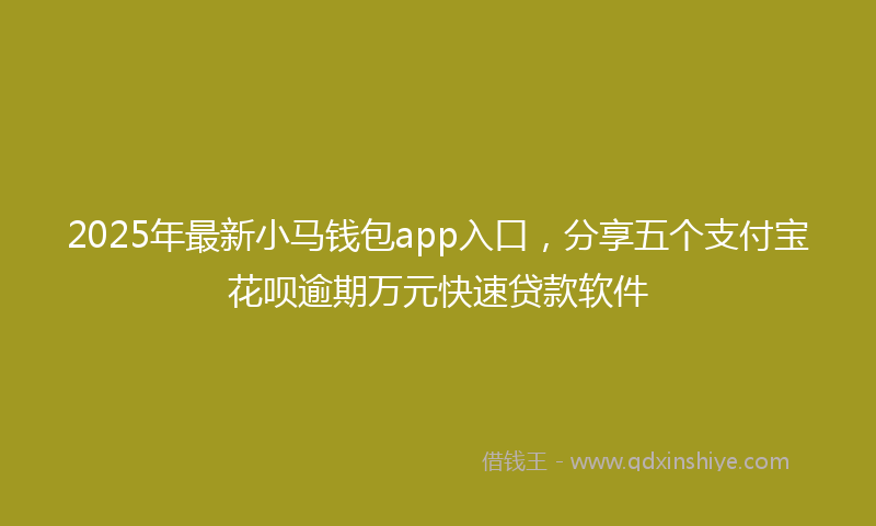 2025年最新小马钱包app入口，分享五个支付宝花呗逾期万元快速贷款软件