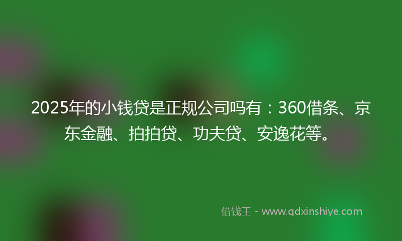 2025年的小钱贷是正规公司吗有：360借条、京东金融、拍拍贷、功夫贷、安逸花等。