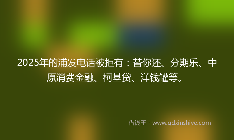 2025年的浦发电话被拒有：替你还、分期乐、中原消费金融、柯基贷、洋钱罐等。