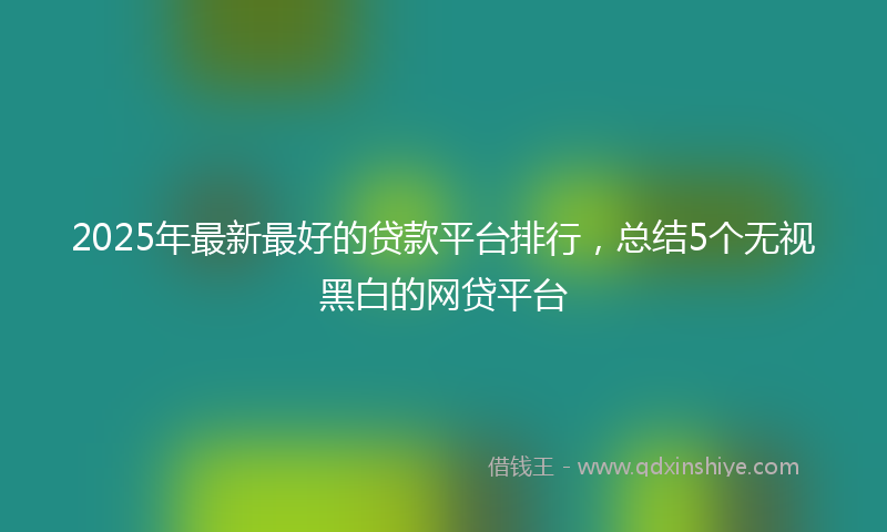 2025年最新最好的贷款平台排行，总结5个无视黑白的网贷平台