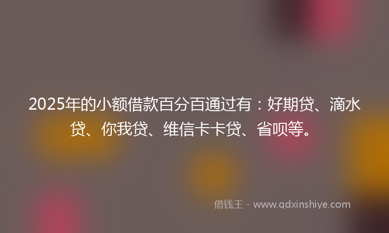 2025年的小额借款百分百通过有：好期贷、滴水贷、你我贷、维信卡卡贷、省呗等。