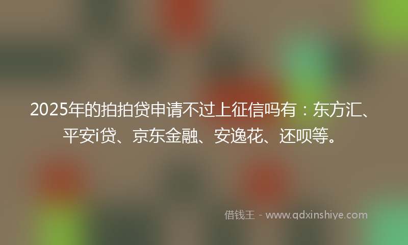 2025年的拍拍贷申请不过上征信吗有：东方汇、平安i贷、京东金融、安逸花、还呗等。