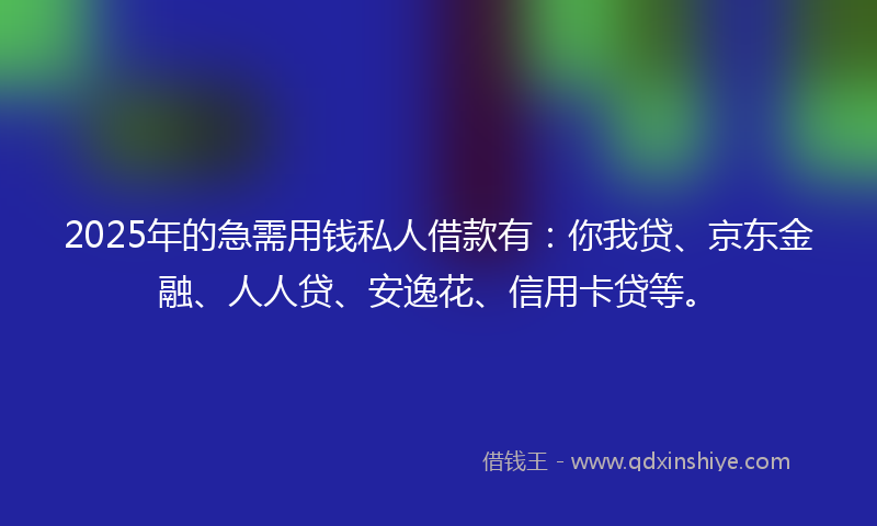 2025年的急需用钱私人借款有：你我贷、京东金融、人人贷、安逸花、信用卡贷等。
