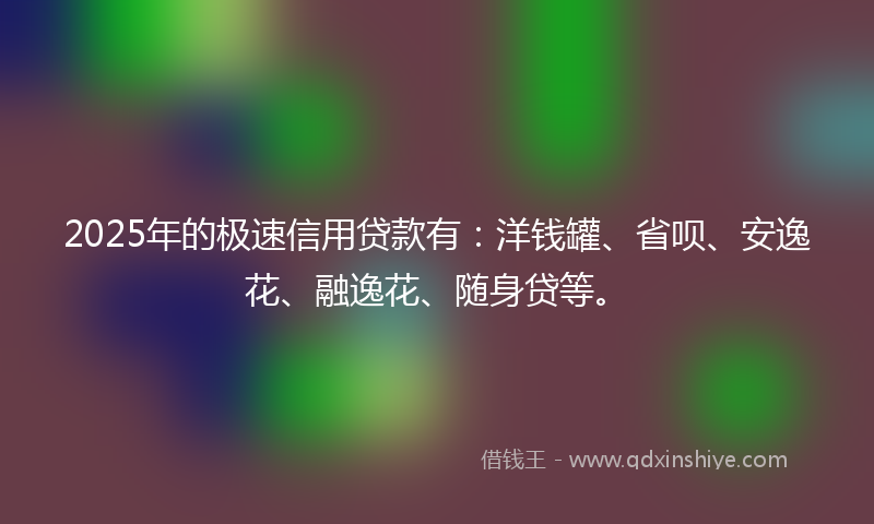 2025年的极速信用贷款有：洋钱罐、省呗、安逸花、融逸花、随身贷等。