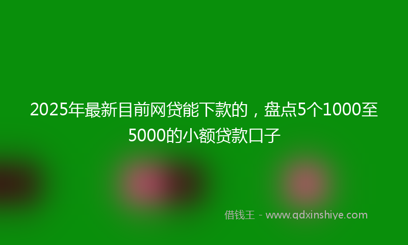 2025年最新目前网贷能下款的，盘点5个1000至5000的小额贷款口子