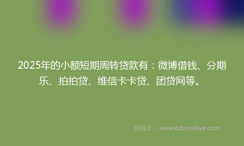2025年的小额短期周转贷款有：微博借钱、分期乐、拍拍贷、维信卡卡贷、团贷网等。