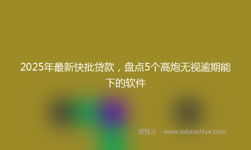 2025年最新快批贷款，盘点5个高炮无视逾期能下的软件