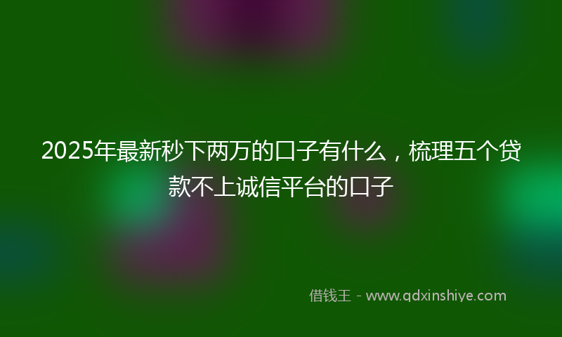 2025年最新秒下两万的口子有什么，梳理五个贷款不上诚信平台的口子