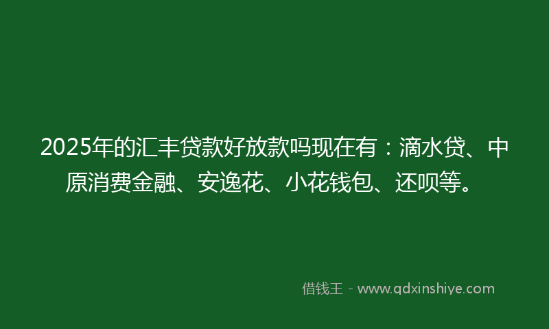 2025年的汇丰贷款好放款吗现在有：滴水贷、中原消费金融、安逸花、小花钱包、还呗等。
