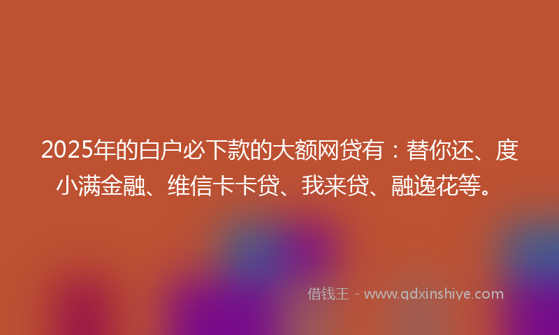2025年的白户必下款的大额网贷有：替你还、度小满金融、维信卡卡贷、我来贷、融逸花等。
