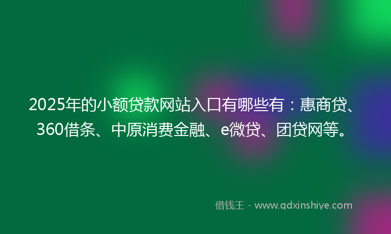 2025年的小额贷款网站入口有哪些有：惠商贷、360借条、中原消费金融、e微贷、团贷网等。
