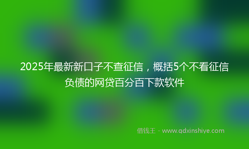 2025年最新新口子不查征信，概括5个不看征信负债的网贷百分百下款软件