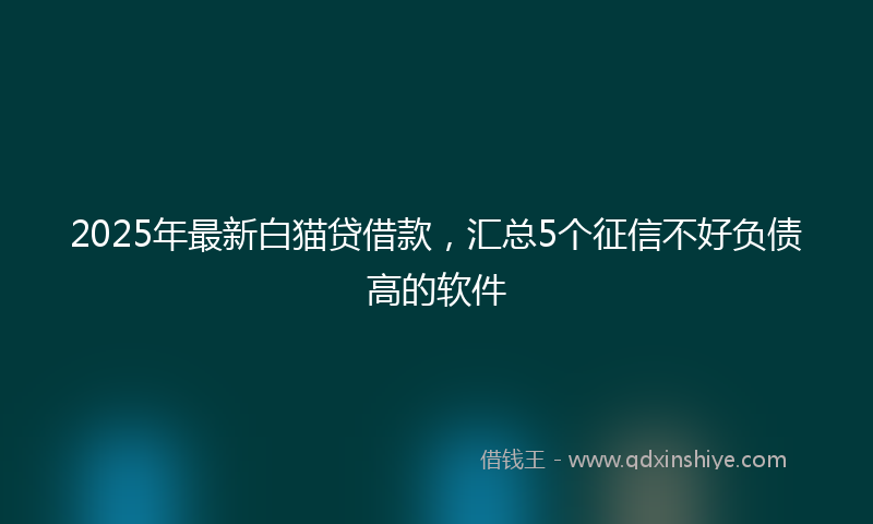 2025年最新白猫贷借款，汇总5个征信不好负债高的软件