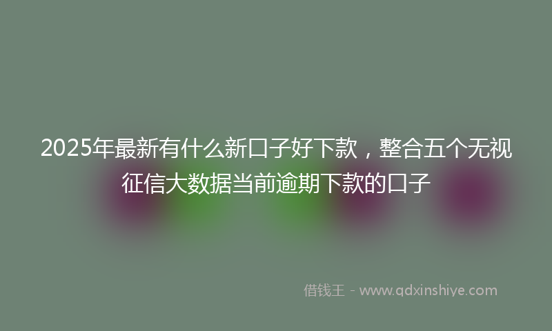 2025年最新有什么新口子好下款，整合五个无视征信大数据当前逾期下款的口子