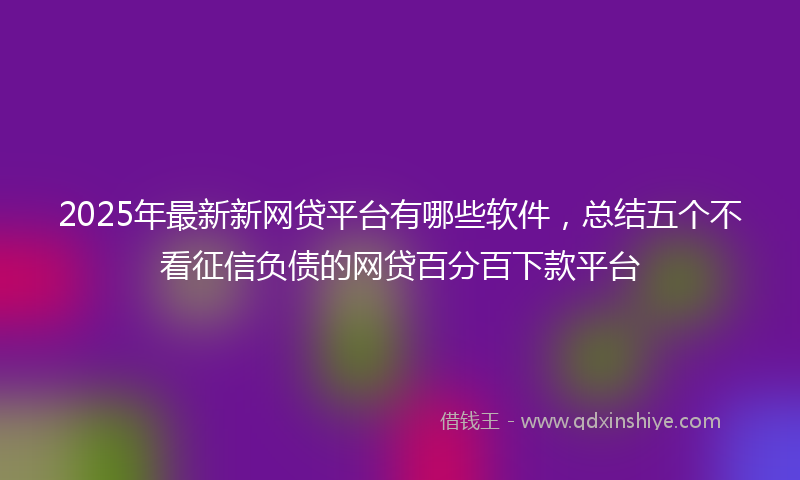 2025年最新新网贷平台有哪些软件，总结五个不看征信负债的网贷百分百下款平台
