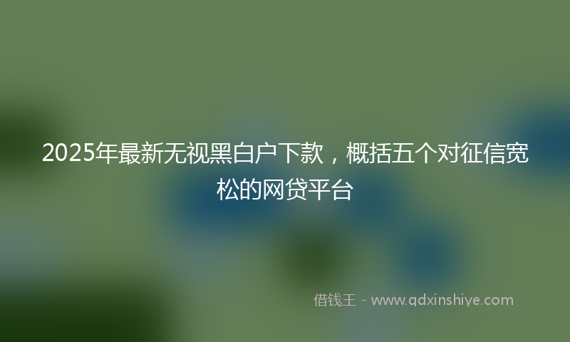 2025年最新无视黑白户下款，概括五个对征信宽松的网贷平台