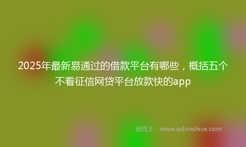 2025年最新易通过的借款平台有哪些，概括五个不看征信网贷平台放款快的app