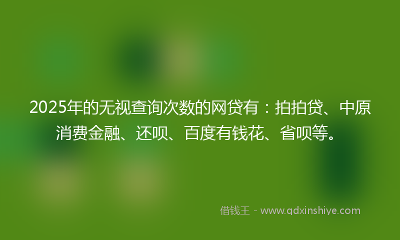 2025年的无视查询次数的网贷有：拍拍贷、中原消费金融、还呗、百度有钱花、省呗等。