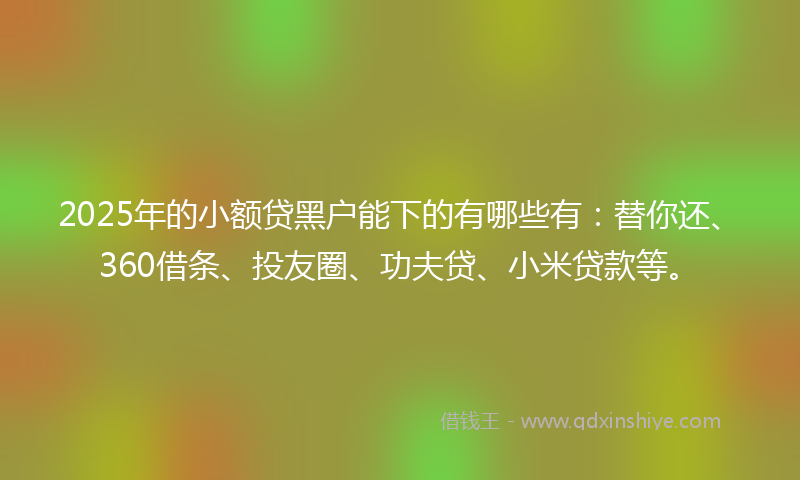 2025年的小额贷黑户能下的有哪些有：替你还、360借条、投友圈、功夫贷、小米贷款等。