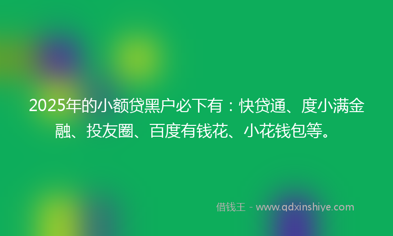 2025年的小额贷黑户必下有：快贷通、度小满金融、投友圈、百度有钱花、小花钱包等。