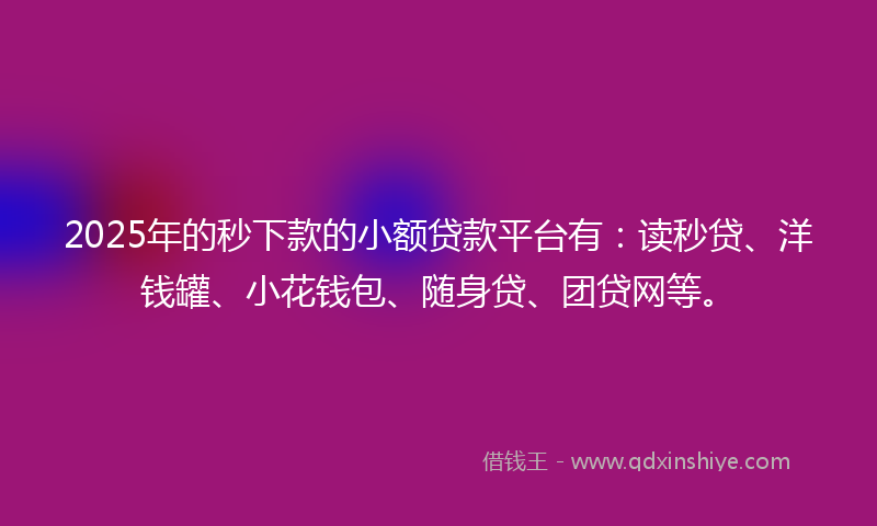 2025年的秒下款的小额贷款平台有：读秒贷、洋钱罐、小花钱包、随身贷、团贷网等。
