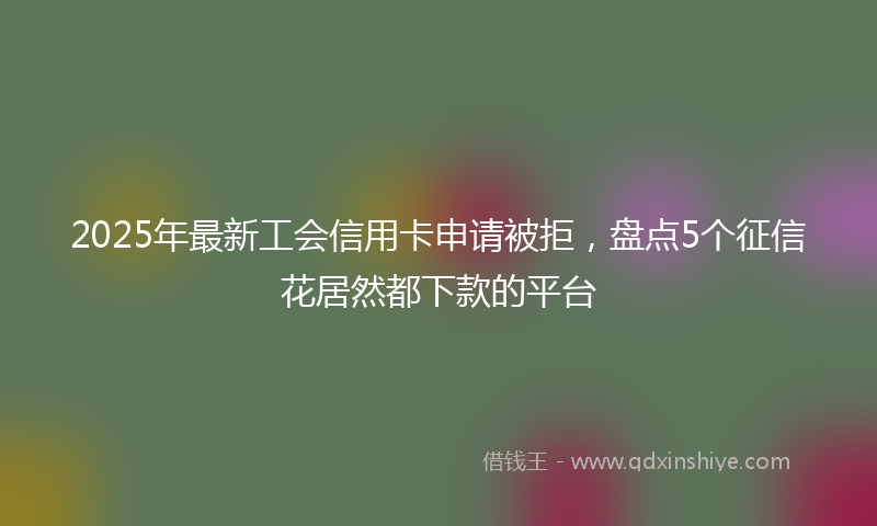 2025年最新工会信用卡申请被拒，盘点5个征信花居然都下款的平台