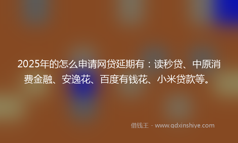 2025年的怎么申请网贷延期有：读秒贷、中原消费金融、安逸花、百度有钱花、小米贷款等。