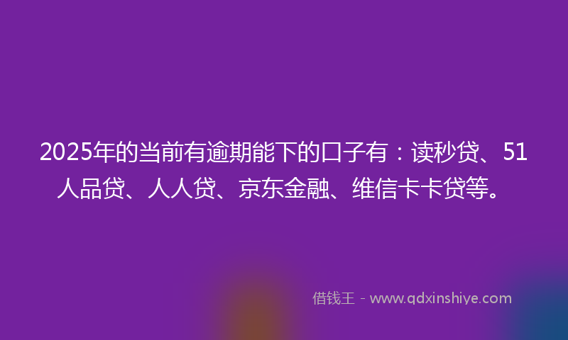 2025年的当前有逾期能下的口子有：读秒贷、51人品贷、人人贷、京东金融、维信卡卡贷等。
