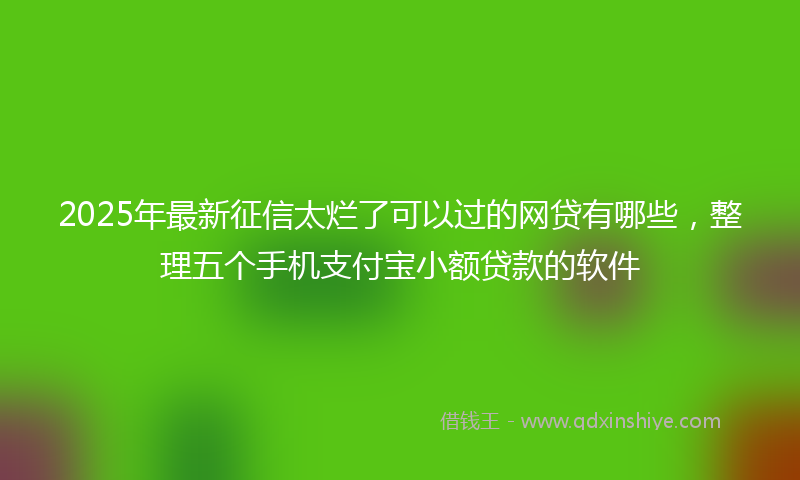 2025年最新征信太烂了可以过的网贷有哪些，整理五个手机支付宝小额贷款的软件