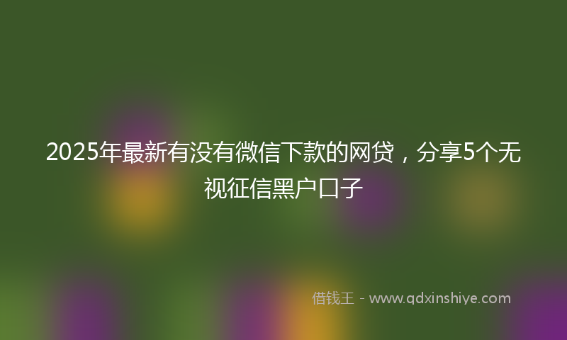 2025年最新有没有微信下款的网贷，分享5个无视征信黑户口子