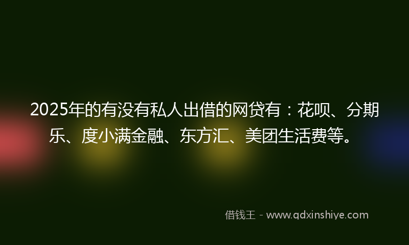 2025年的有没有私人出借的网贷有：花呗、分期乐、度小满金融、东方汇、美团生活费等。