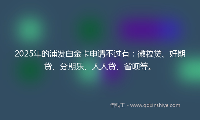 2025年的浦发白金卡申请不过有：微粒贷、好期贷、分期乐、人人贷、省呗等。