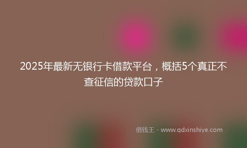 2025年最新无银行卡借款平台，概括5个真正不查征信的贷款口子