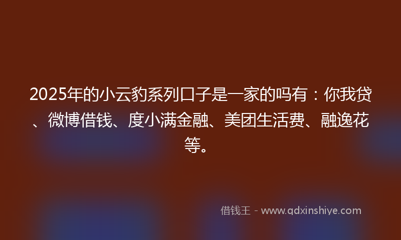 2025年的小云豹系列口子是一家的吗有：你我贷、微博借钱、度小满金融、美团生活费、融逸花等。