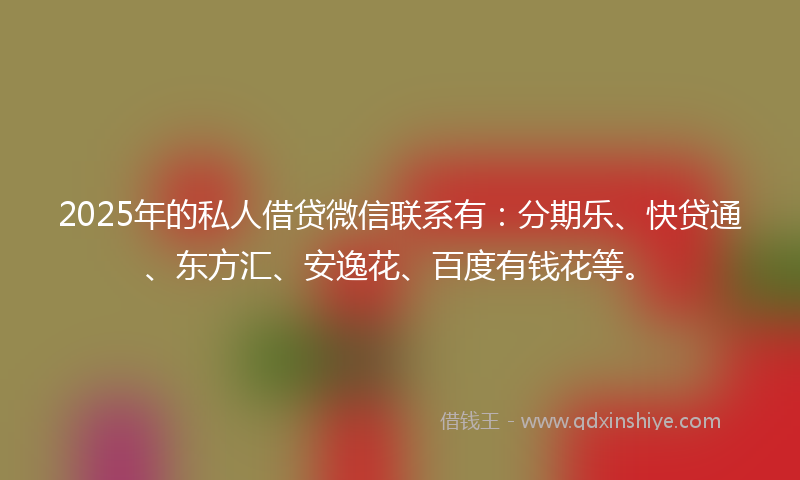 2025年的私人借贷微信联系有：分期乐、快贷通、东方汇、安逸花、百度有钱花等。