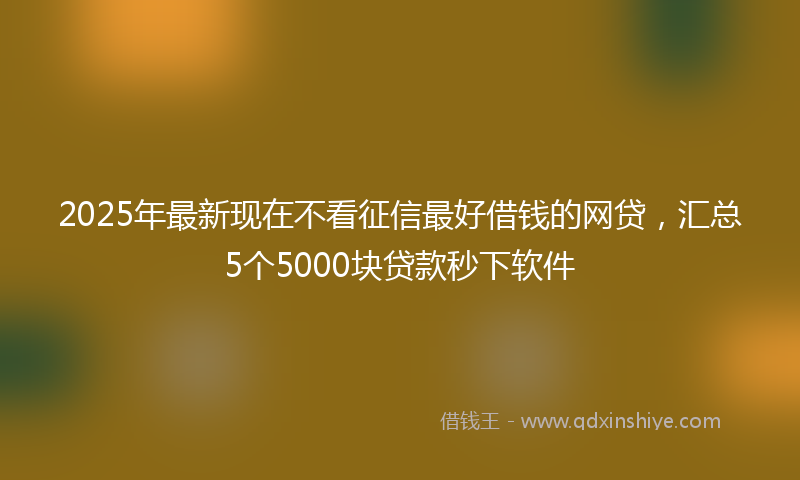 2025年最新现在不看征信最好借钱的网贷，汇总5个5000块贷款秒下软件