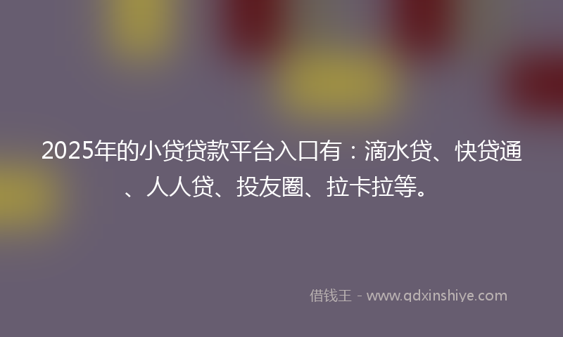 2025年的小贷贷款平台入口有：滴水贷、快贷通、人人贷、投友圈、拉卡拉等。