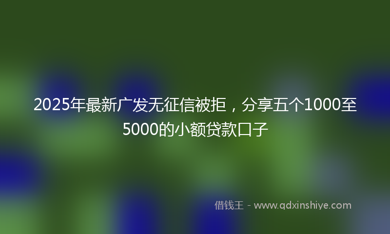 2025年最新广发无征信被拒，分享五个1000至5000的小额贷款口子