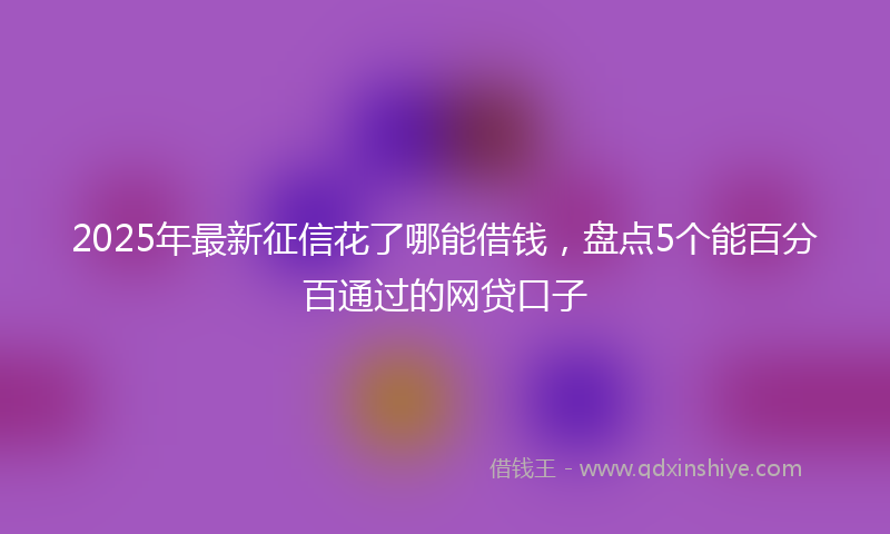 2025年最新征信花了哪能借钱，盘点5个能百分百通过的网贷口子