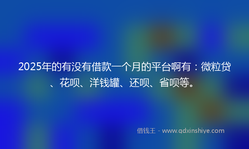 2025年的有没有借款一个月的平台啊有：微粒贷、花呗、洋钱罐、还呗、省呗等。