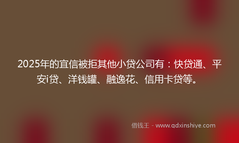 2025年的宜信被拒其他小贷公司有：快贷通、平安i贷、洋钱罐、融逸花、信用卡贷等。