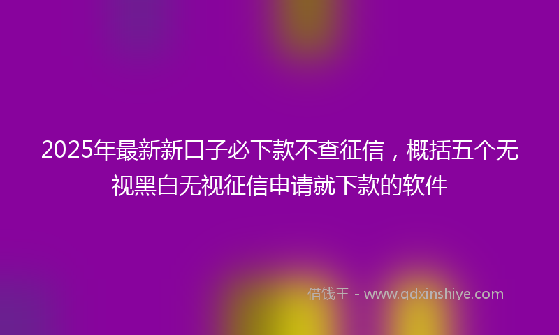 2025年最新新口子必下款不查征信，概括五个无视黑白无视征信申请就下款的软件