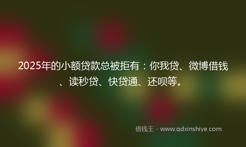 2025年的小额贷款总被拒有：你我贷、微博借钱、读秒贷、快贷通、还呗等。