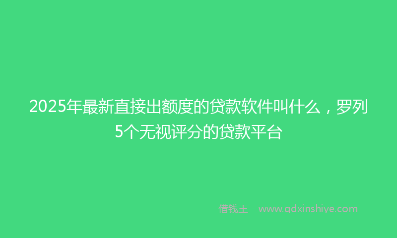 2025年最新直接出额度的贷款软件叫什么，罗列5个无视评分的贷款平台