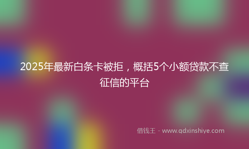 2025年最新白条卡被拒，概括5个小额贷款不查征信的平台