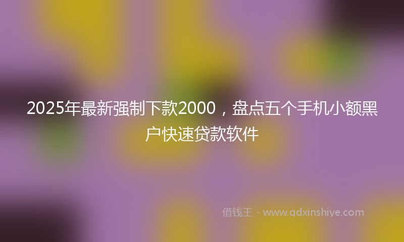2025年最新强制下款2000，盘点五个手机小额黑户快速贷款软件