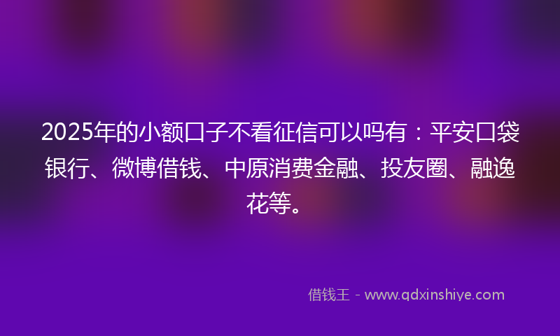 2025年的小额口子不看征信可以吗有：平安口袋银行、微博借钱、中原消费金融、投友圈、融逸花等。