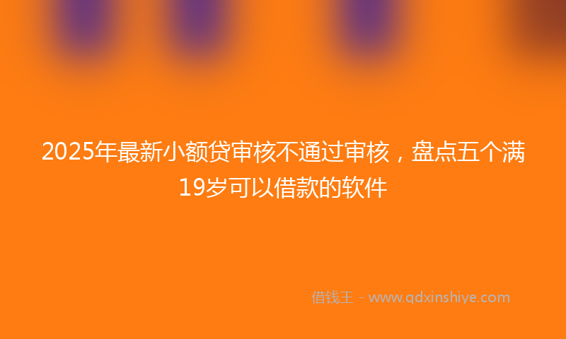 2025年最新小额贷审核不通过审核，盘点五个满19岁可以借款的软件